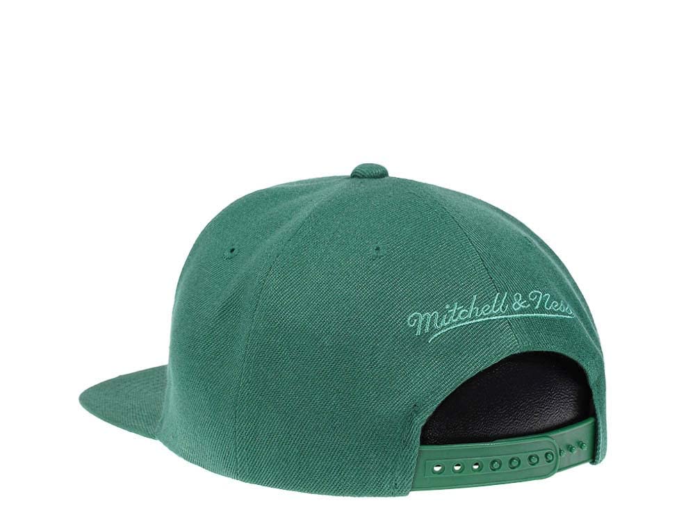 Mitchell & Ness Boston Celtics Monochroma Tic Snapback Adjustable Hat Cap - Green